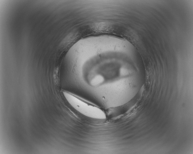 X0000051920239200507222142