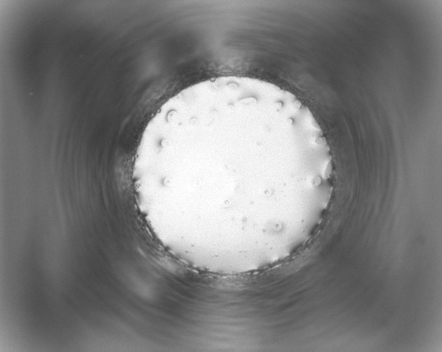 X0000051920240200507222142