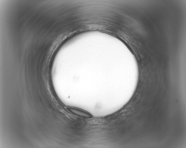 X0000051920241200507222142