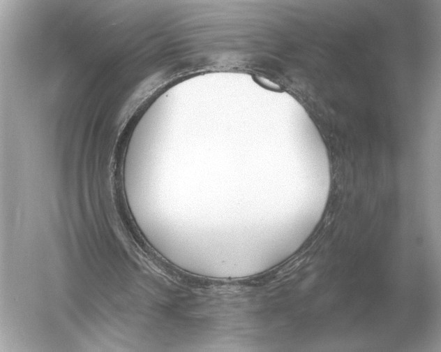 X0000051920242200507222142