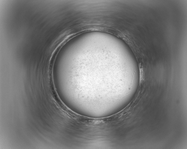 X0000051920243200507222142