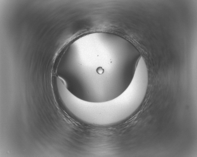 X0000051920244200507222142