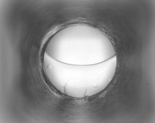 X0000051920245200507222142