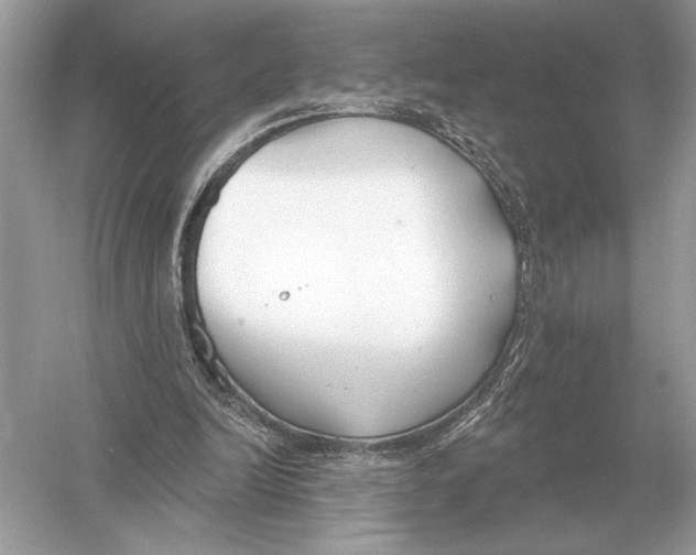 X0000051920246200507222142