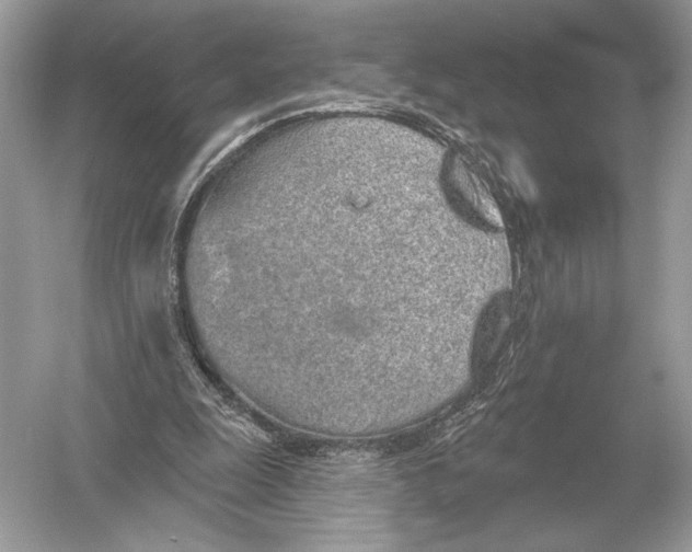 X0000051920247200507222142