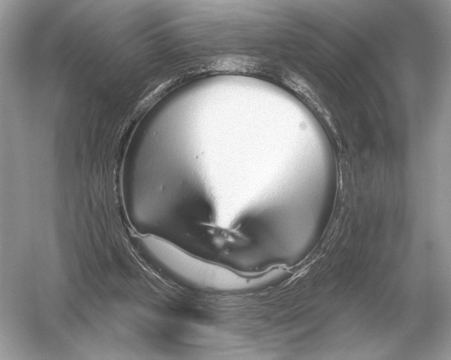 X0000051920249200507222142