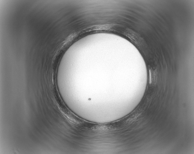 X0000051920253200507222142