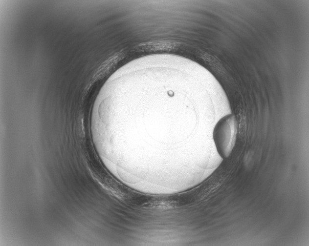 X0000051920254200507222142