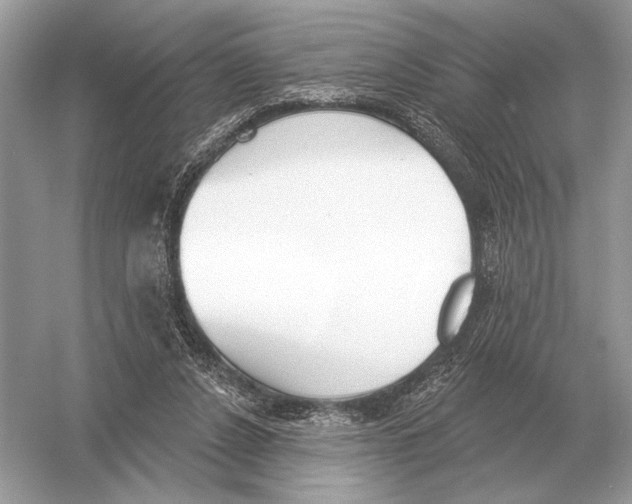 X0000051920256200507222142