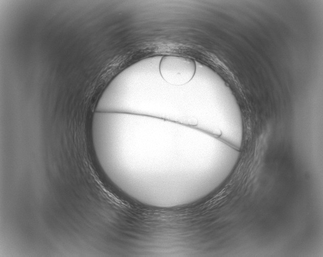 X0000051920257200507222142