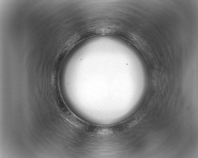 X0000051920258200507222142