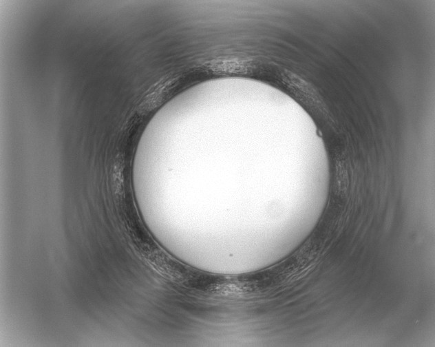 X0000051920259200507222142