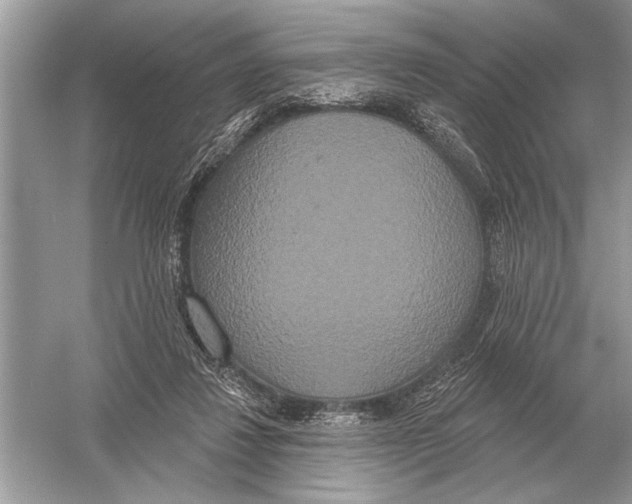 X0000051920260200507222142