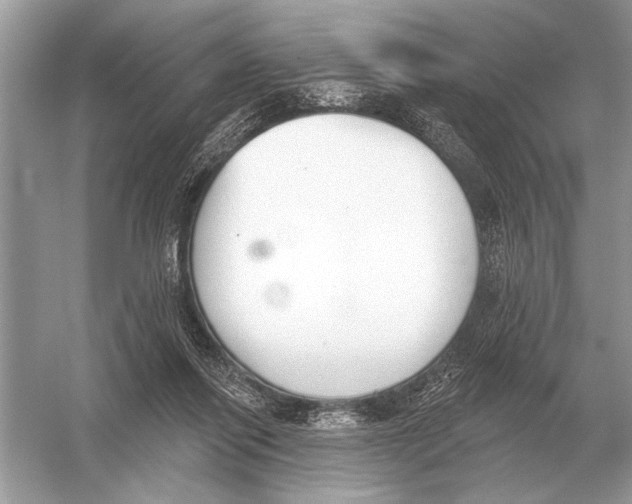 X0000051920262200507222142