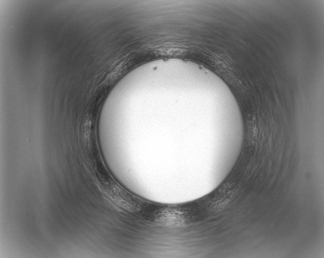 X0000051920263200507222142