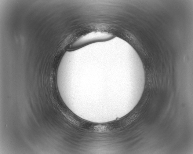 X0000051920265200507222142