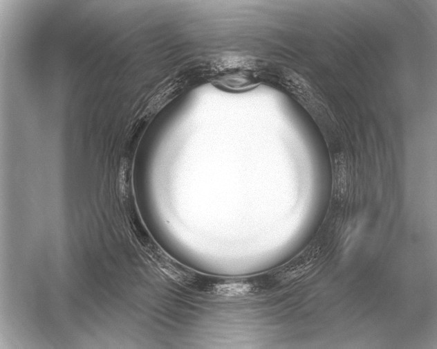 X0000051920266200507222142