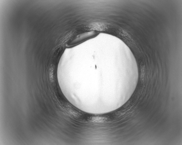 X0000051920268200507222142