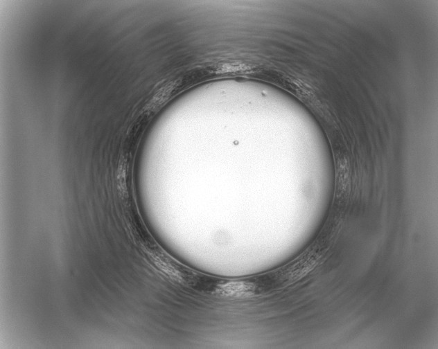 X0000051920269200507222142