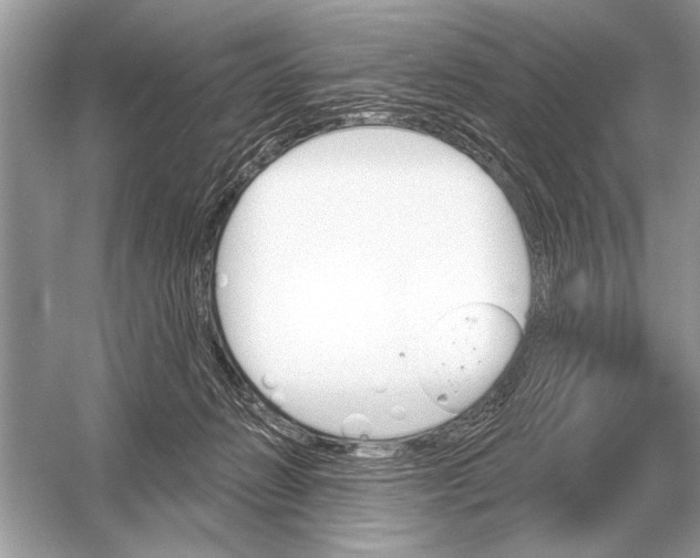 X0000051920270200507222142