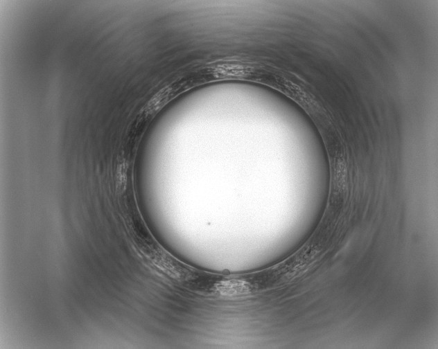 X0000051920271200507222142