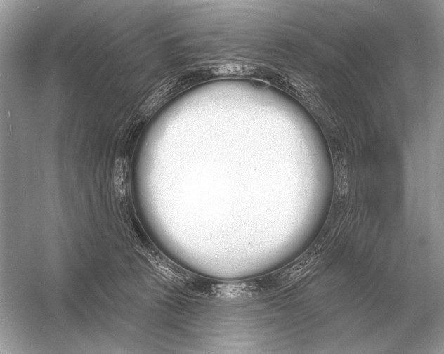 X0000051920273200507222142