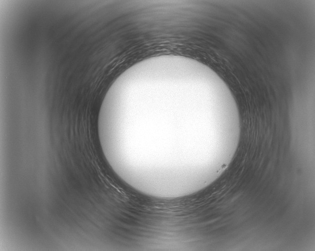 X0000051920276200507222142