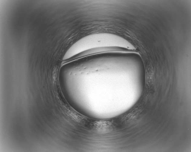 X0000051920277200507222142