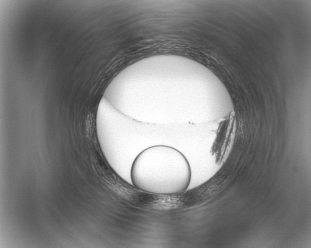 X0000051920278200507222142