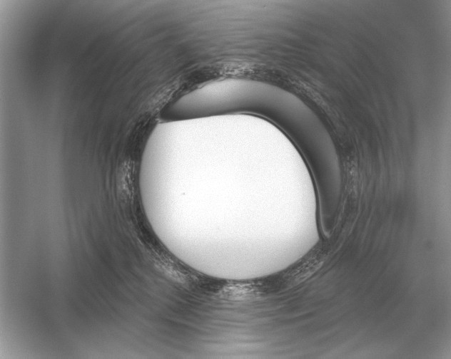 X0000051920280200507222142