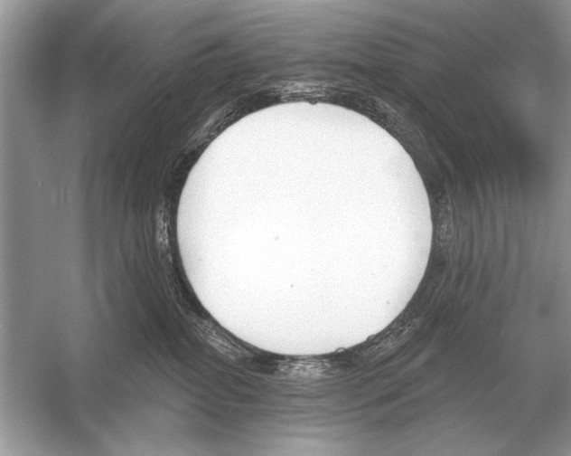 X0000051920282200507222142