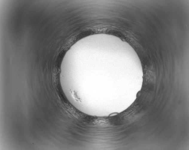 X0000051920283200507222142