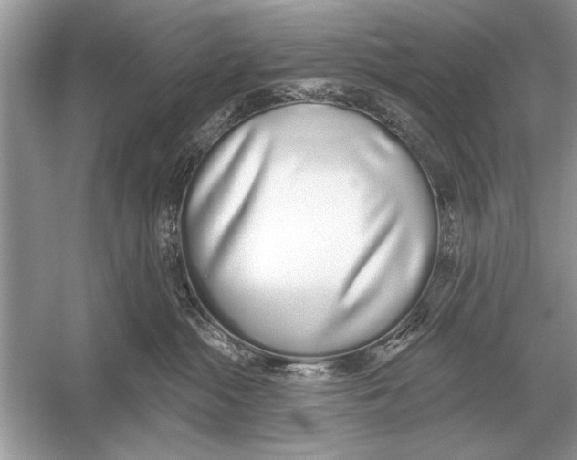 X0000051920284200507222142