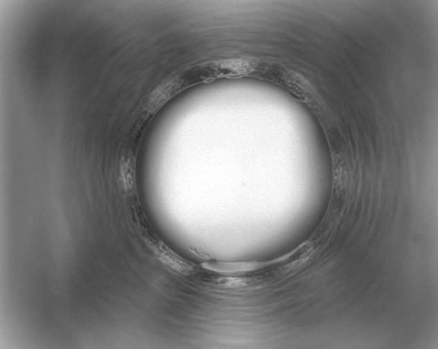 X0000051920285200507222142