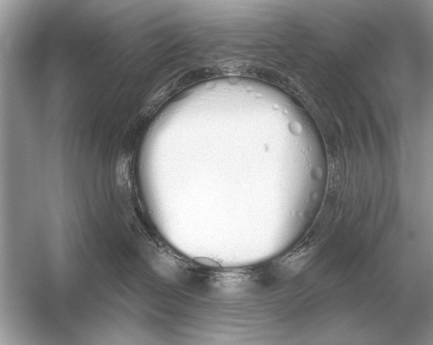 X0000051920286200507222142