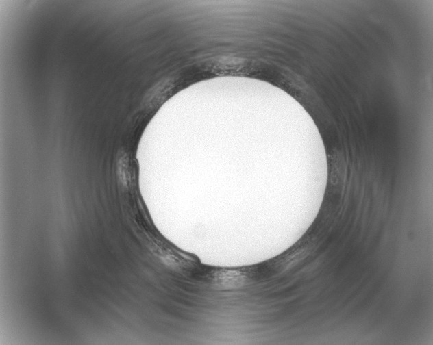 X0000051920287200507222142