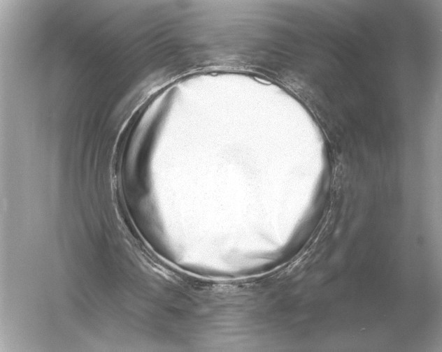 X0000051920290200507222142