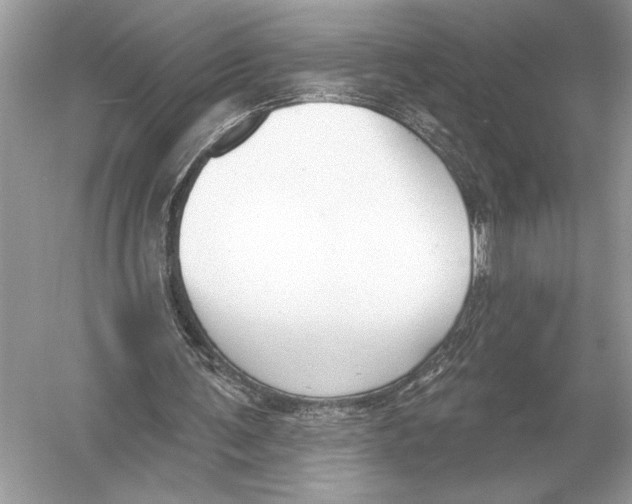 X0000051920291200507222142