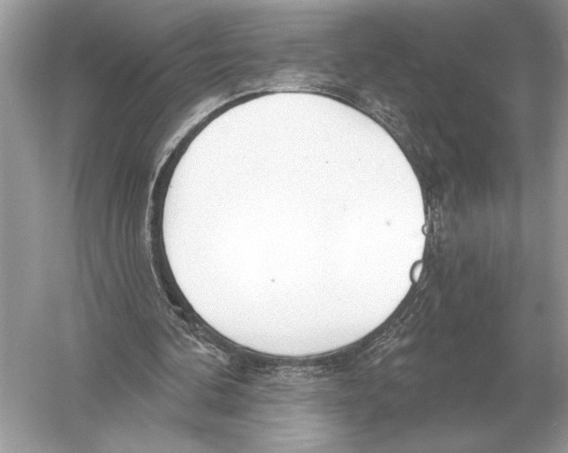 X0000051920292200507222142