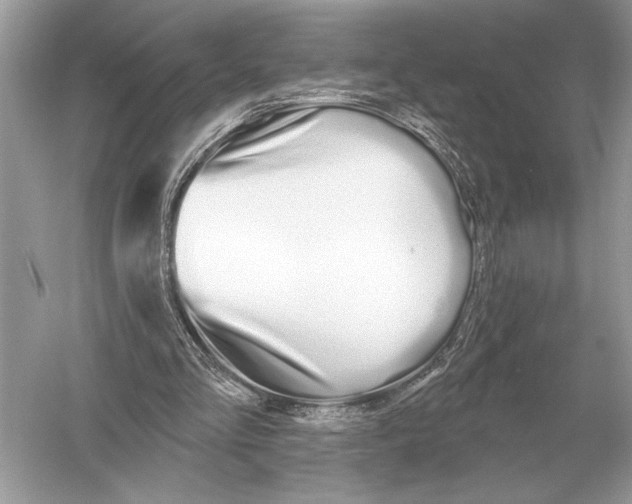 X0000051920293200507222142