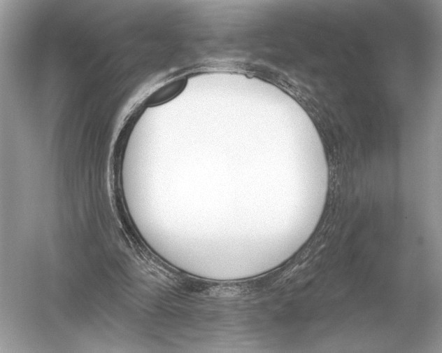 X0000051920294200507222141