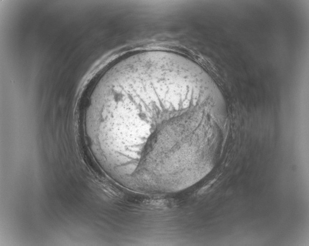 X0000051920295200507222141