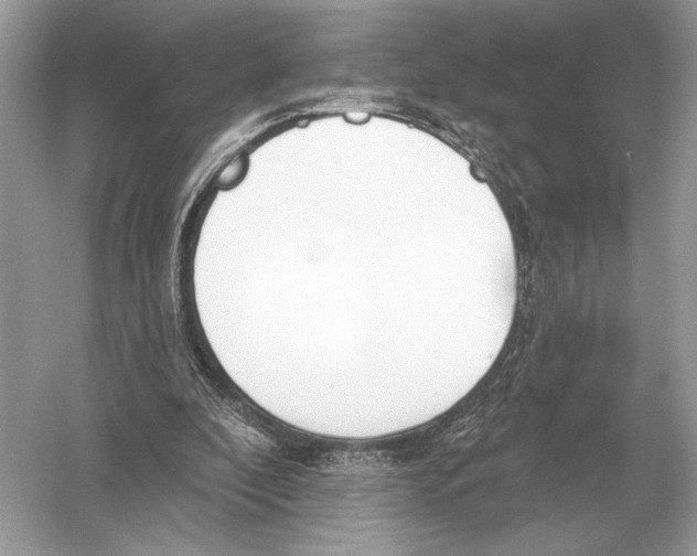 X0000051920296200507222141