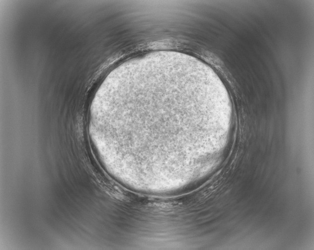 X0000051920297200507222141