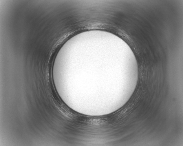 X0000051920298200507222141