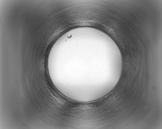 X0000051920299200507222141