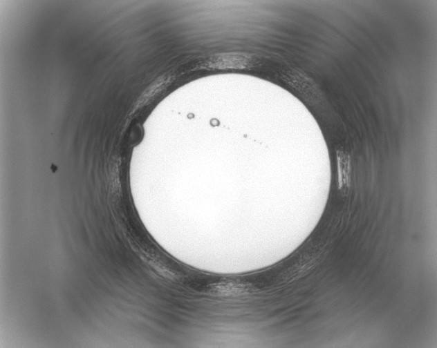 X0000051920300200507222141