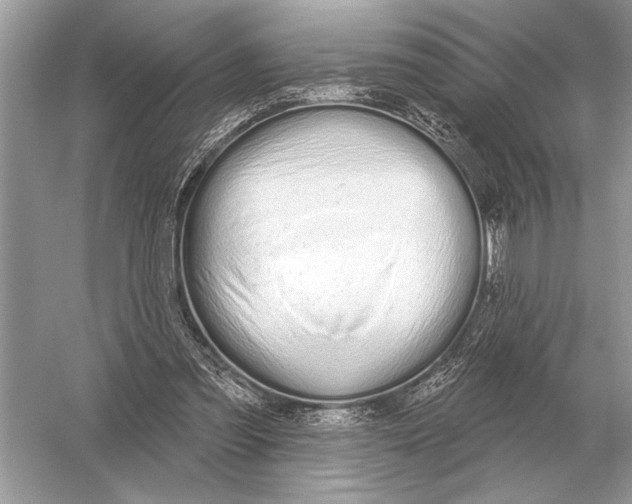 X0000051920301200507222141