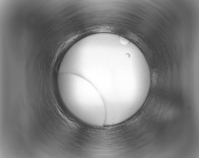 X0000051920302200507222141