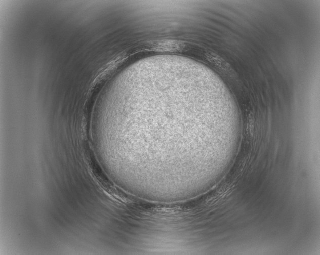 X0000051920303200507222141